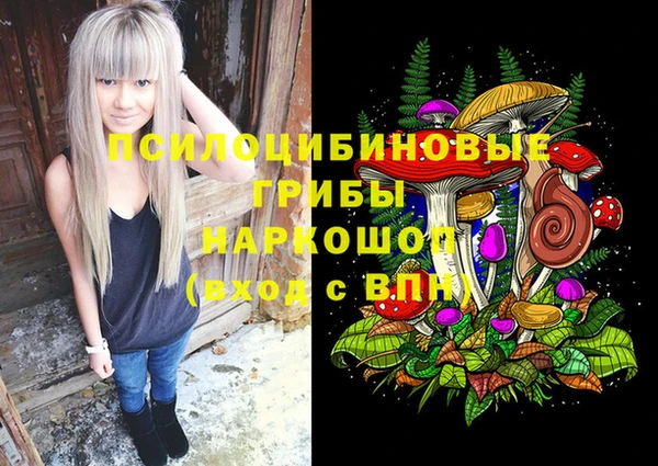 крисы Балахна