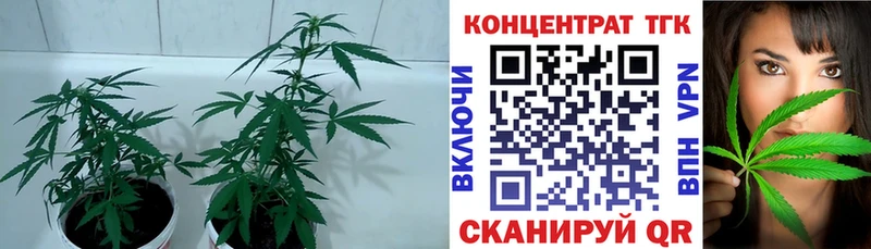 купить  цена  Емва  МЕГА ТОР  Дистиллят ТГК концентрат 