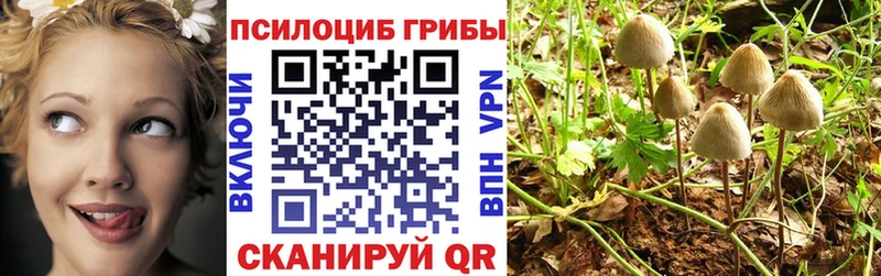 Галлюциногенные грибы MAGIC MUSHROOMS  ссылка на мегу ТОР  Емва 